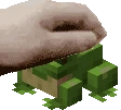Minecraft_animated_frog emote