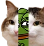 kiisu_pepe emote