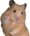 peace emote