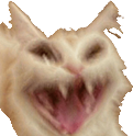 cat_scream static emote