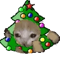 Xmascatrun emote