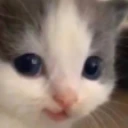 Hehe emote
