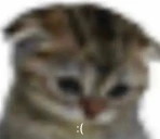 SAD emote