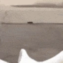 chickenattack emote