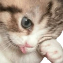 catCrai emote