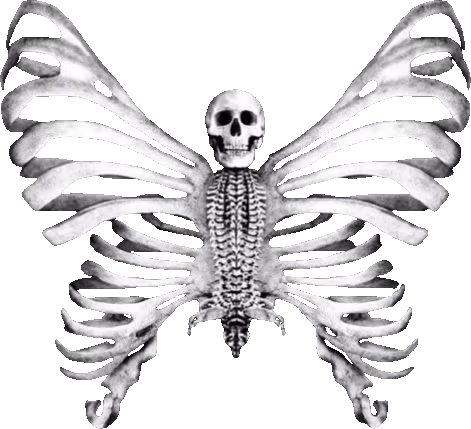 skeleton_butterfly emote
