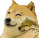 DogeHug emote
