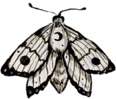 moth emote
