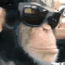 monkeEZ emote