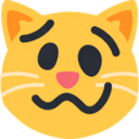 drunkCat emote