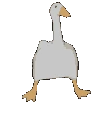 DancingDuck emote