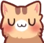 Cat_uwu emote