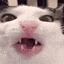 munch emote