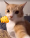 tekagaste emote