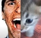UtterlyInsane emote