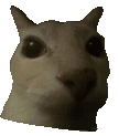 dosespin emote