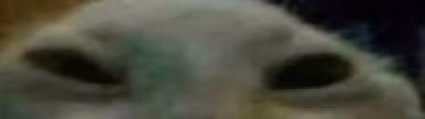 xdd1 emote