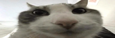 wires emote