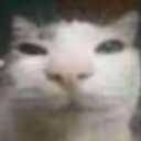 watching emote