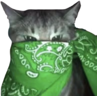green_bandana_cat emote