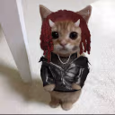 cartiCat emote