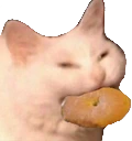 CatCookie emote