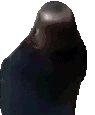 sealSpin emote