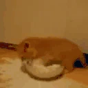 OHNOMYMILK emote