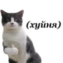Awesome emote