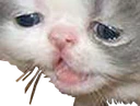 Ugly_Cat emote
