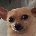 awkErm emote