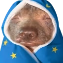 creatureSleepy emote