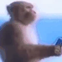 MonkeyListenin emote
