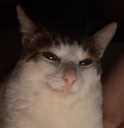 evil emote