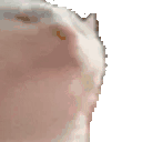 JAMTOOFAST animated emote