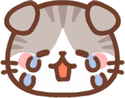 cat_cry emote