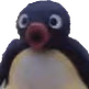 pingu_pog emote