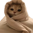catCozy emote