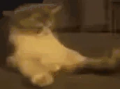 this emote