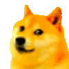 doge_partyVibrate emote