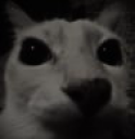 LaCaraDespair static emote