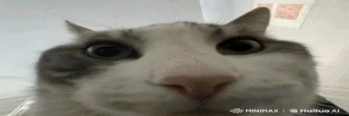 wiresEZ emote