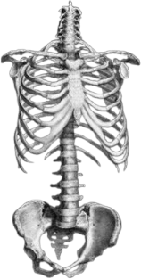 goth_skeleton emote