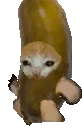 Picklecatrun emote
