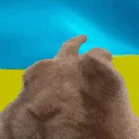 UKRAINEVIBE emote