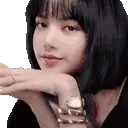 lisaHeart emote