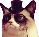 grumpycat_tophat emote