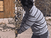 Working animated emote