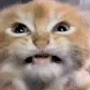 gremlin emote