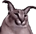 floppaJAM emoji